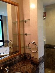 The Sterling (D21), Condominium #378487011